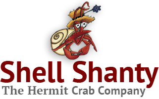 Shell Shanty