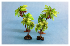 Palm Trees Palm Trees